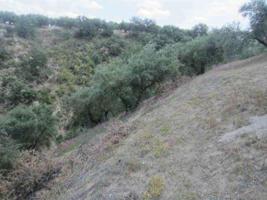 Terreno en venta en Almedinilla, Almedinilla photo 0