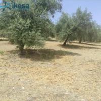 Chalet en venta en Jaén, Las infantas photo 0