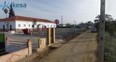 Chalet en venta en Carmona, URB PINO GRANDE photo 0