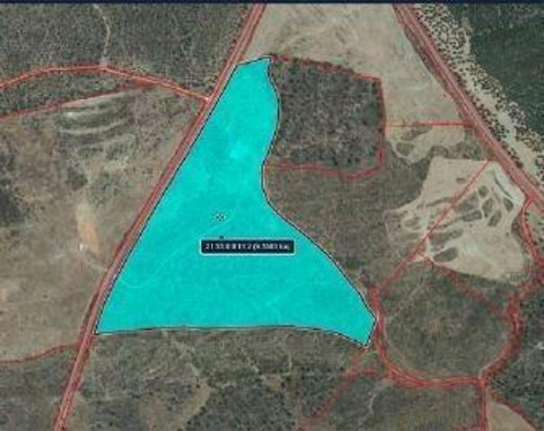 Terreno en venta en Niebla, Andalucia photo 0