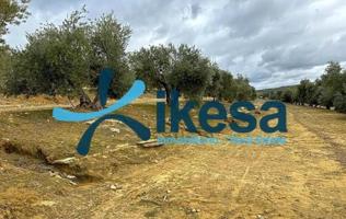 Terreno en venta en Lupión, Lupion photo 0