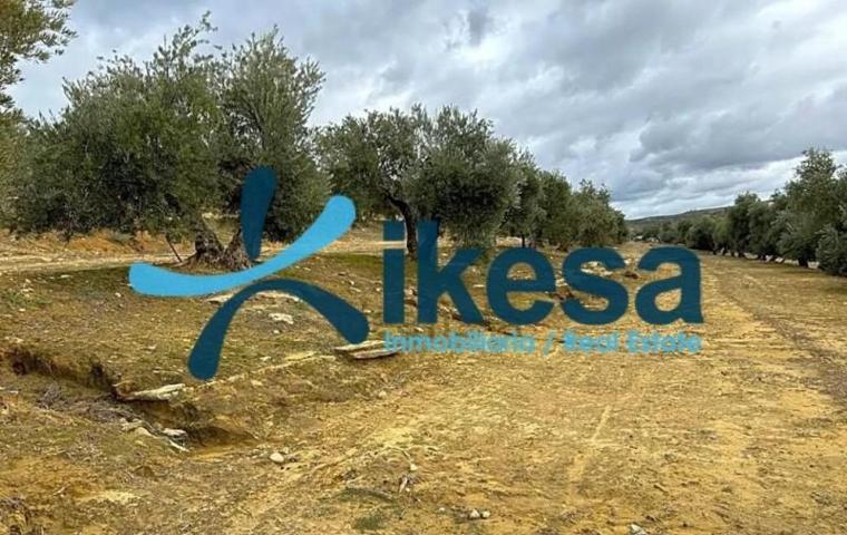 Terreno en venta en Lupión, Lupion photo 0