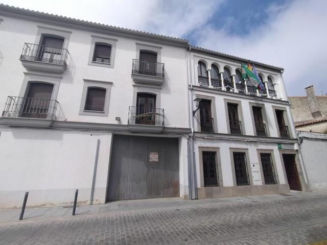 Local comercial en venta en Villanueva de Córdoba, Centro photo 0