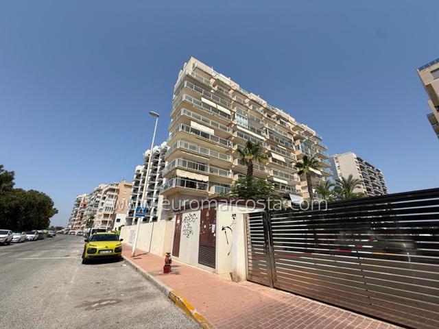 Atico Duplex en venta en Guardamar del Segura, Puerto photo 0