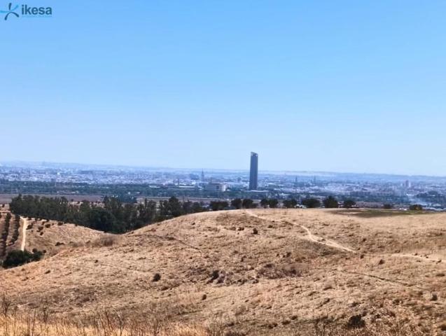 Terreno en venta en Castilleja de Guzmán, Castilleja de Guzmán photo 0