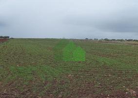 Terreno en venta en Montijo, LA CENTINELA-SAN GREGORIO photo 0