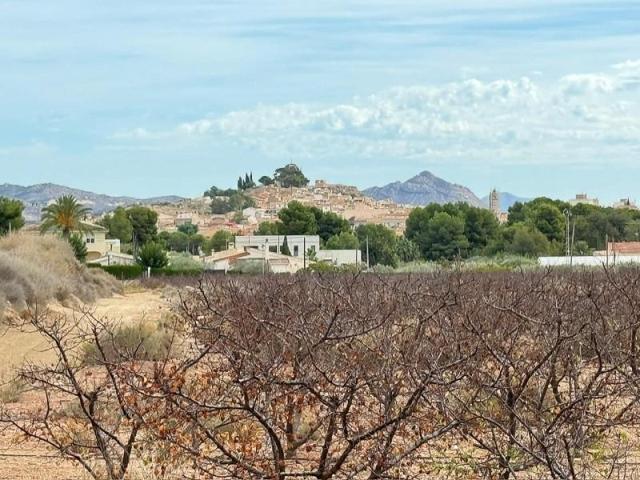Terreno en venta en Monovar-Monover photo 0