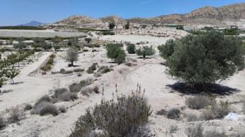 Terreno en venta en Molina de Segura, El Fenazar photo 0