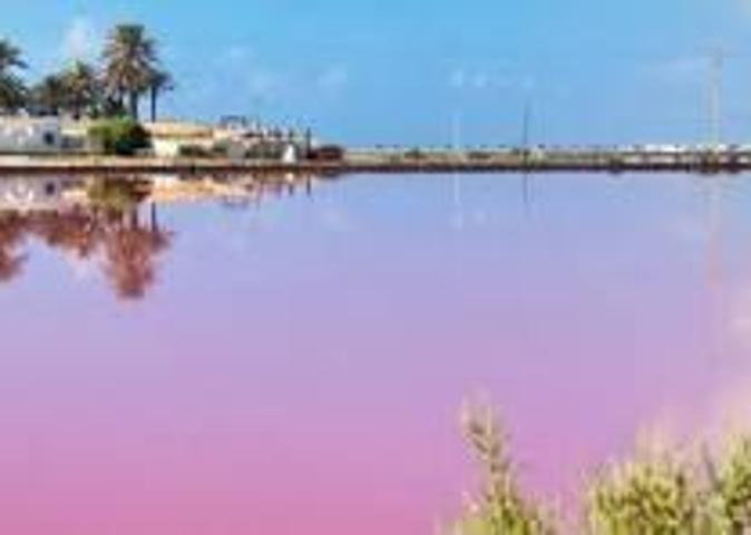 Piso en venta en San Pedro del Pinatar, Zona Noroeste photo 0