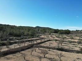 Terreno en venta en Monovar-Monover photo 0