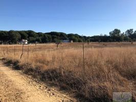 Terreno en venta en Almonte, EL PORRETAL photo 0