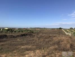 Terreno en venta en La Palma del Condado, CONDADO DE HUELVA photo 0