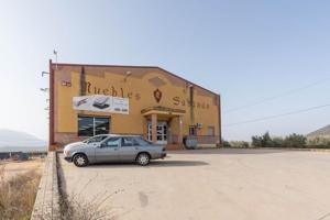 Nave industrial en venta en Iznalloz, Indiferente photo 0