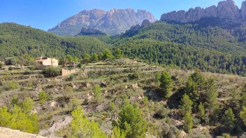 Casa con terreno en venta en Benimantell, Montaña photo 0