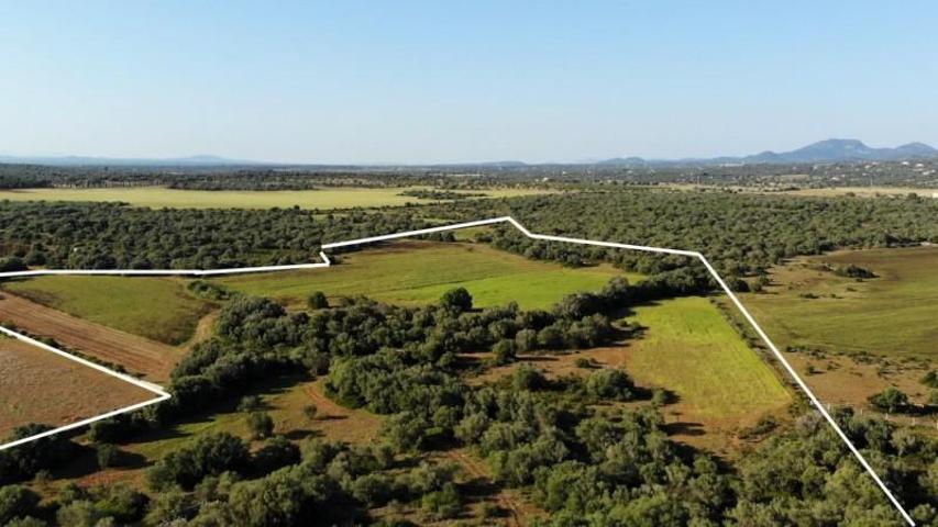 Terreno en venta en Santanyí, Santanyí photo 0