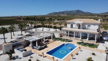 Chalet en venta en Pinoso photo 0