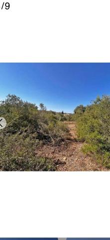 Terreno en venta en Bunyola, Palmanyola Balears photo 0