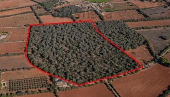 Terreno en venta en Felanitx, Felanitx photo 0