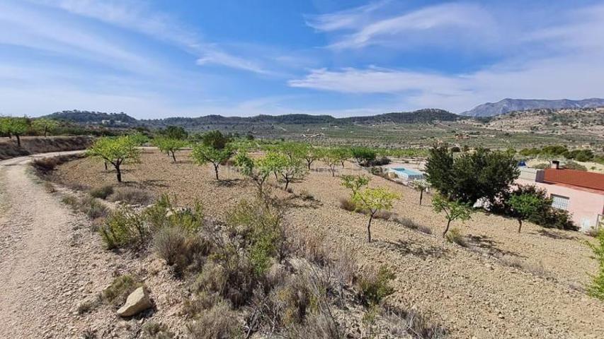 Terreno en venta en Relleu photo 0