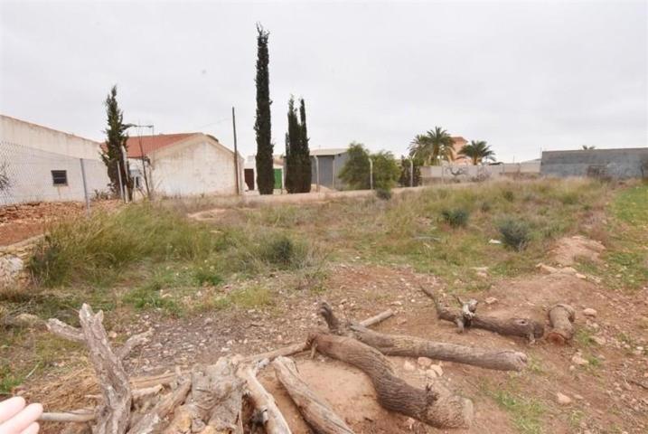 Terreno en venta en Fuente Álamo de Murcia, LA PINILLA photo 0