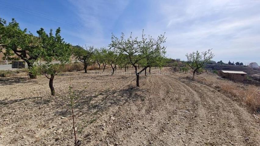 Terreno en venta en Relleu photo 0