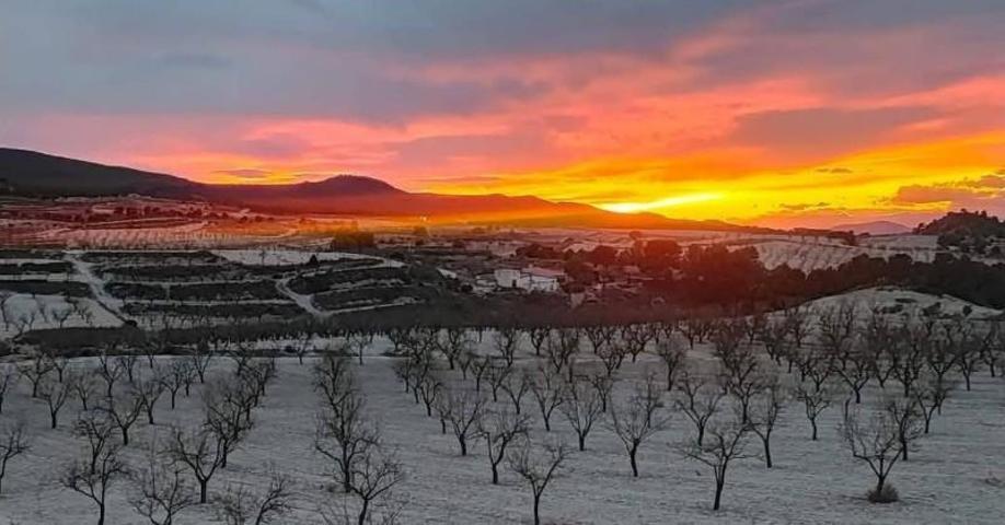 Casa con terreno en venta en La Zarza photo 0