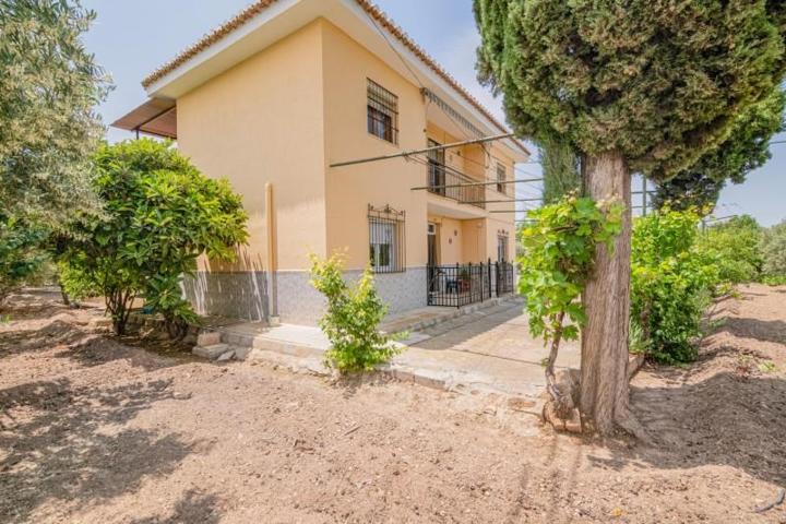 Casa con terreno en venta en Baza, Andalucia photo 0