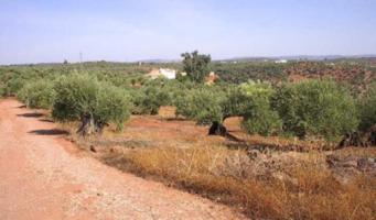 Terreno en venta en Montoro, Santa brigida 1 photo 0