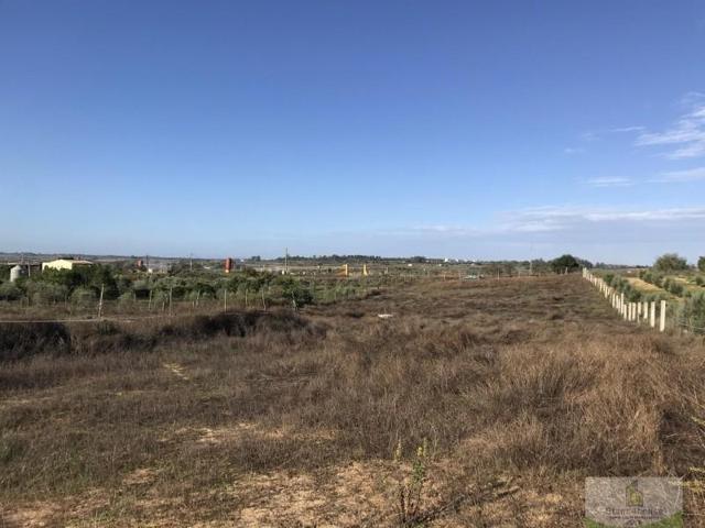 Terreno en venta en La Palma del Condado, CONDADO DE HUELVA photo 0