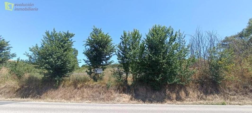 Terreno en venta en Ausines, Castilla y leon photo 0