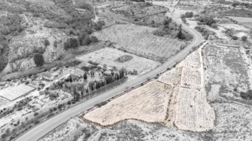 Terreno en venta en Aspe, Pedanías Oeste photo 0