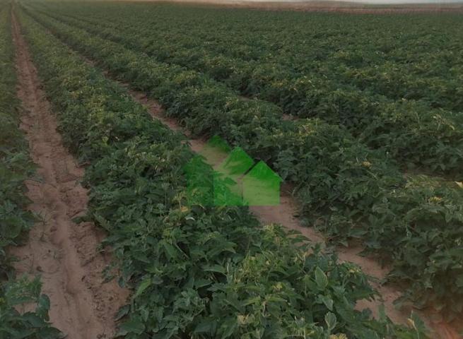 Terreno en venta en Montijo photo 0