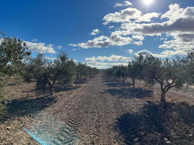 Terreno en venta en Totana, EL PARETON photo 0