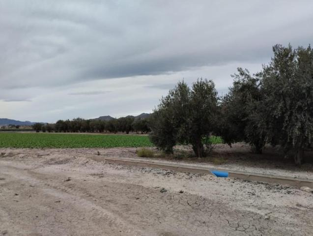 Terreno en venta en Lorca, La Hoya photo 0