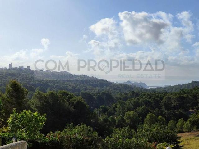 Terreno en venta en Mallorca, Génova photo 0