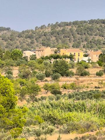 Chalet en venta en Pinoso, Comunidad valenciana photo 0