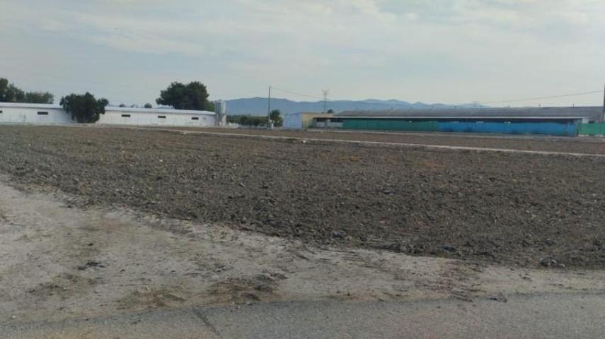 Terreno en venta en Totana, Lebor photo 0