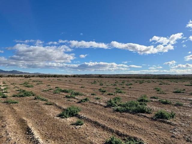 Terreno en venta en Alhama de Murcia, ALHAMA photo 0