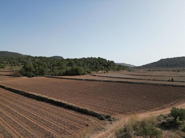 Terreno en venta en Pinoso photo 0