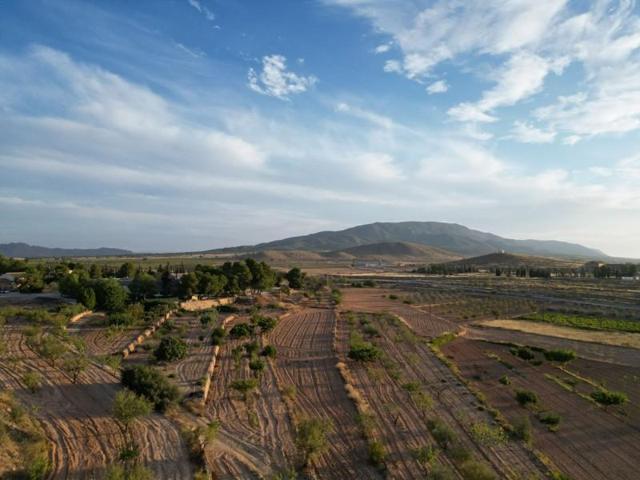 Terreno en venta en Pinoso photo 0