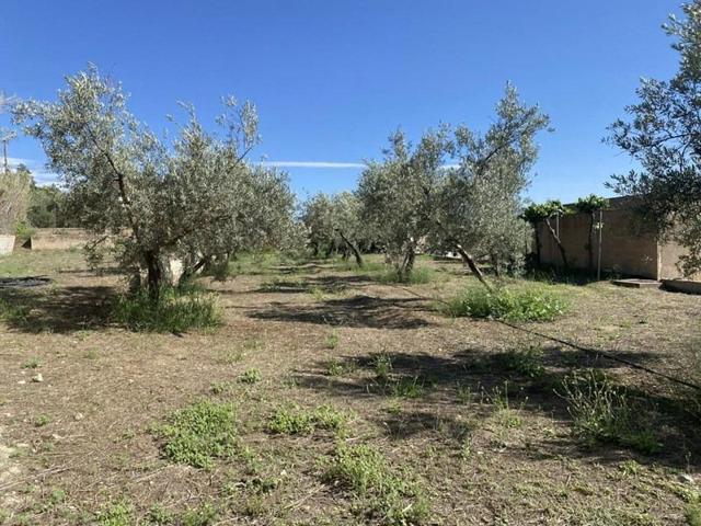 Terreno en venta en Padul, Laguna photo 0