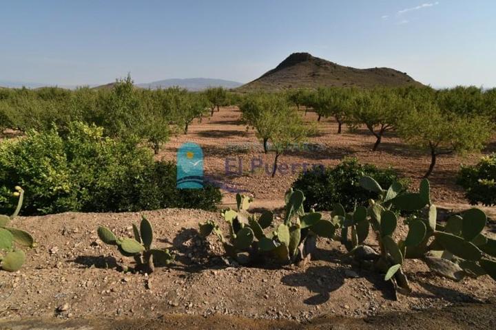 Terreno en venta en Mazarrón, Mingrano photo 0