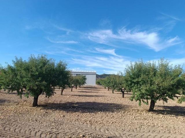 Terreno en venta en Yecla photo 0