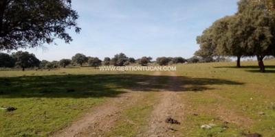 Chalet en venta en Parrillas, Parrillas photo 0