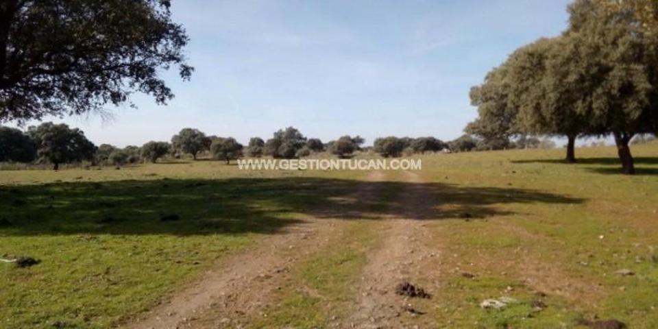 Chalet en venta en Parrillas, Parrillas photo 0