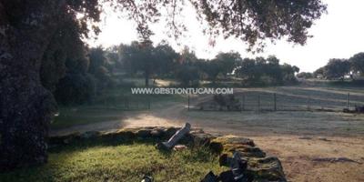 Chalet en venta en Parrillas, Parrillas photo 0