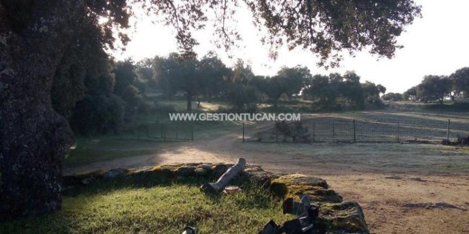 Chalet en venta en Parrillas, Parrillas photo 0