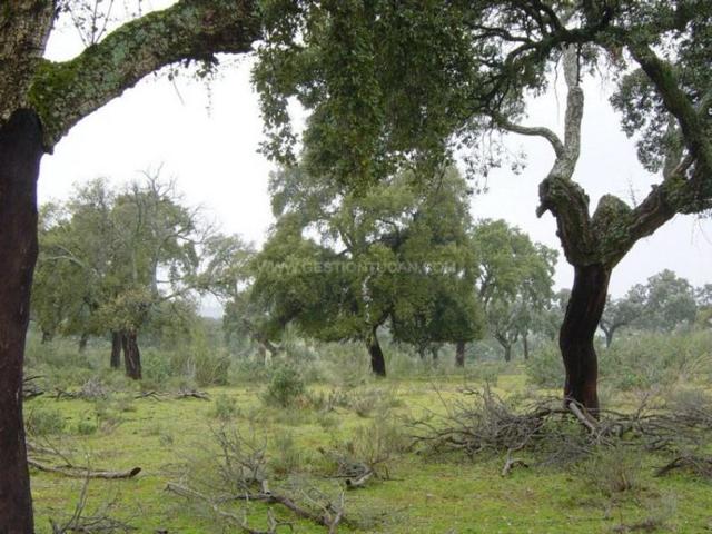 Chalet en venta en Serrejón, Serrejon photo 0
