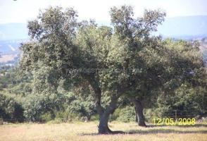 Chalet en venta en Alcántara, Alcantara photo 0