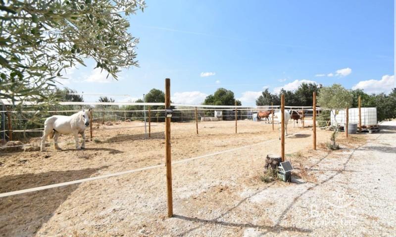 Casa con terreno en venta en Elche, La Marina photo 0